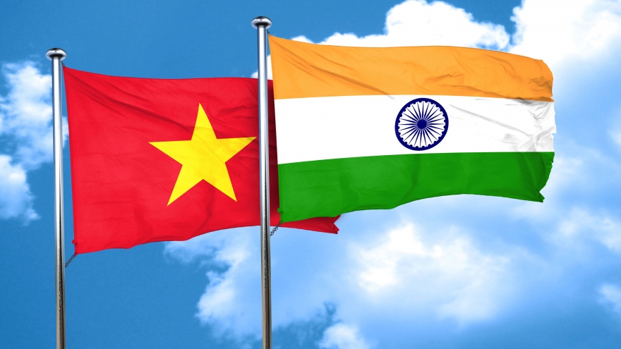 Vietnam, India hold dialogue on Comprehensive Strategic Partnership